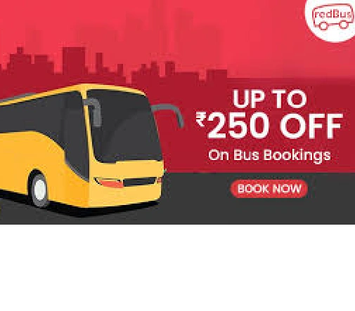 Bus Offer